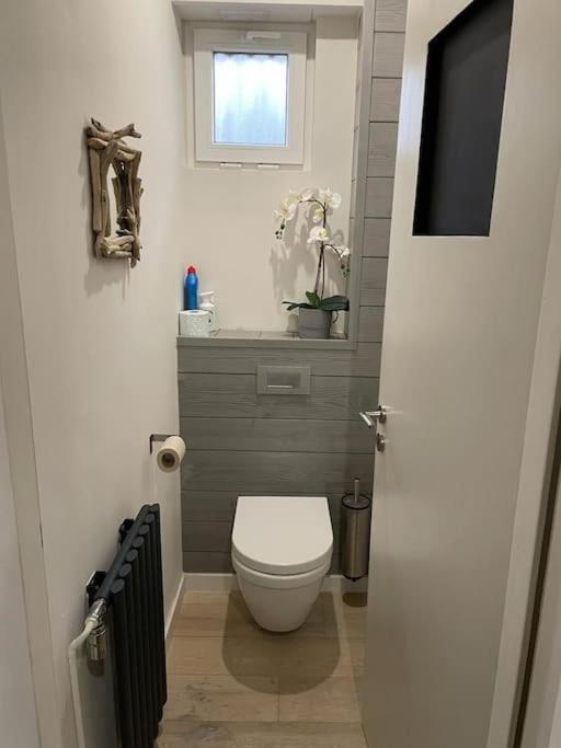 Joli Logement Avec Terrasse La Cigale 6 A 8 Personnes Orbey Exteriér fotografie